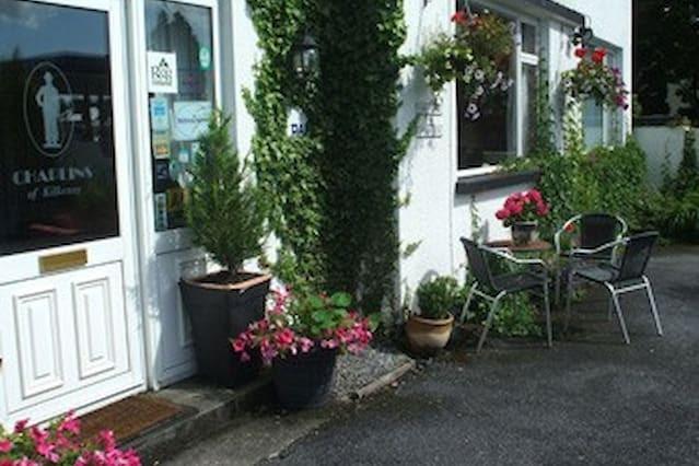 Chaplins Townhouse Bed & Breakfast Kilkenny Bagian luar foto