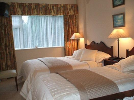 Chaplins Townhouse Bed & Breakfast Kilkenny Bagian luar foto